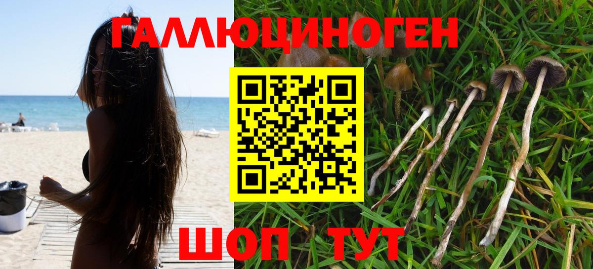 Псилоцибиновые грибы GOLDEN TEACHER Нижнеудинск
