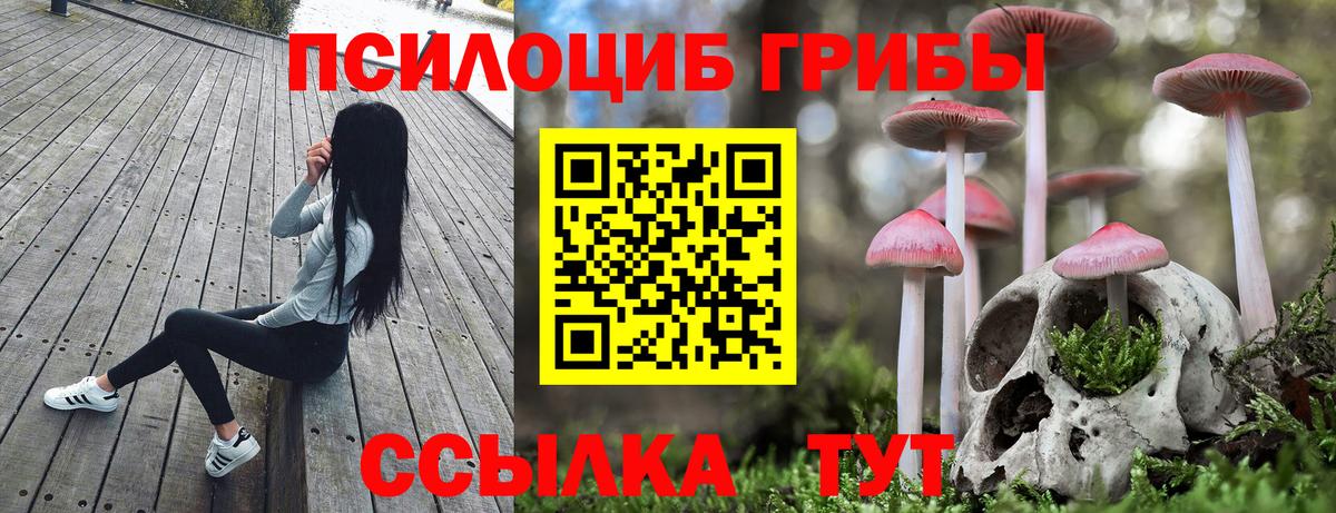 наркотики  Псилоцибиновые грибы GOLDEN TEACHER  Вход с VPN  Нижнеудинск 