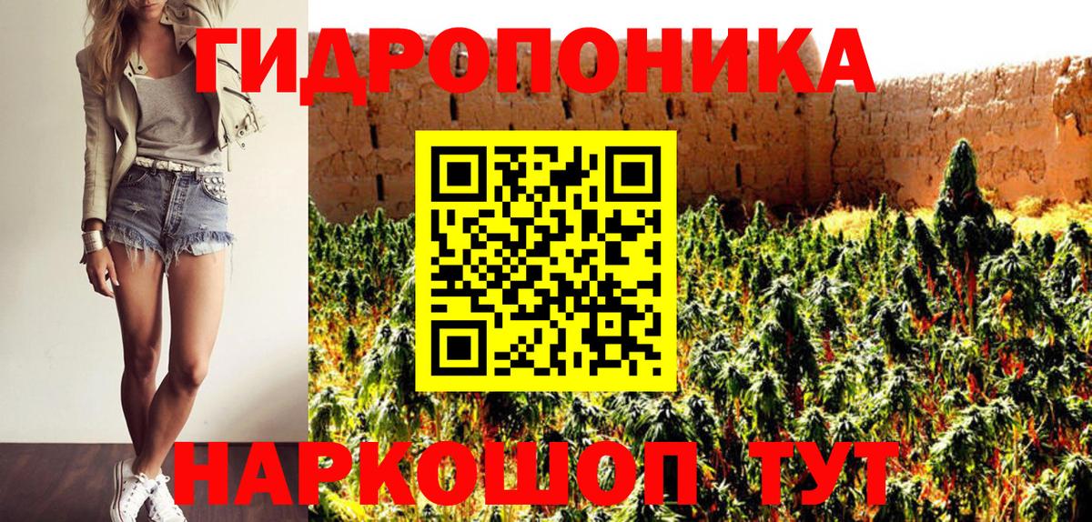 Нижнеудинск  Бошки Шишки план  Вход с VPN  Бошки марихуана Bruce Banner 